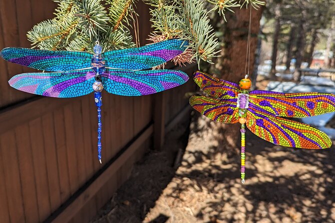 Dragonfly Suncatcher Art Kit in Estes Park - An In-Depth Look at the Dragonfly Suncatcher Art Kit Experience