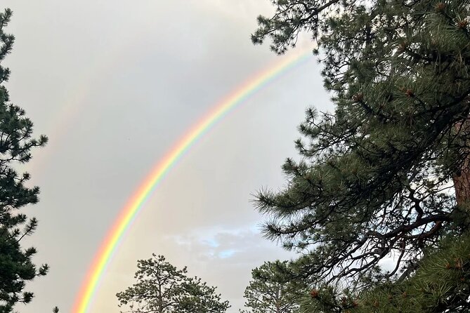 Rocky Mountain National Park Grand Lake Tour - What Makes This Tour Stand Out?