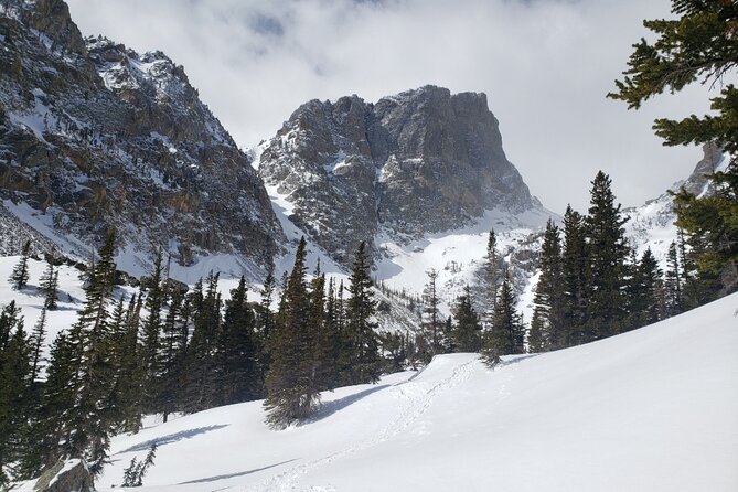 Women's Snowshoeing Emerald Lake Rocky Mountain National Park - An In-Depth Look at the Snowshoe Adventure