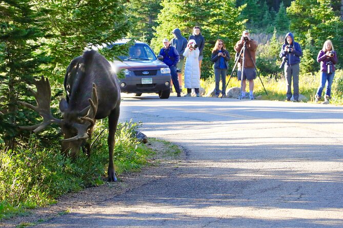 Half-Day Rocky Mountain National Park "Lake and Meadows Tour" - Frequently Asked Questions