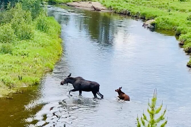 Private Driving Tour of the Rocky Mountain National Park - Exploring the Rocky Mountain National Park: A Personal Guide to the Private Driving Tour