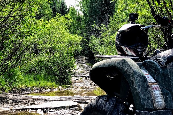 ATV (quad) ride on a beautiful and fun Rocky Mountain trail - The Ride Experience in Detail