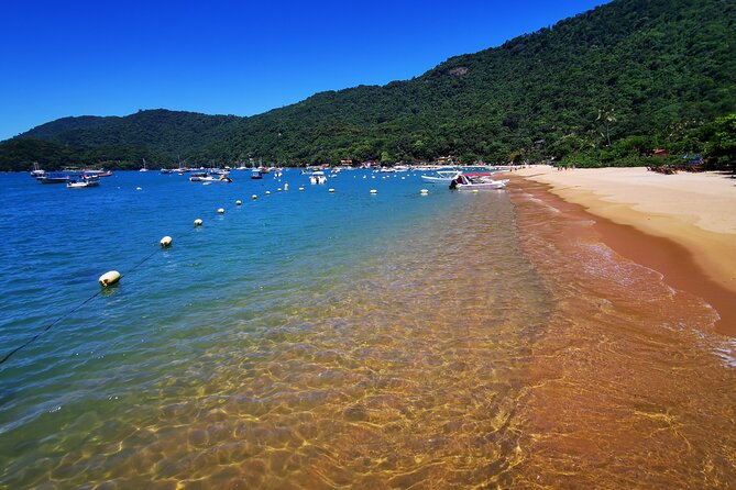 Highlights of Abraão Cove on a Half Day Hike in Ilha Grande - Key Points