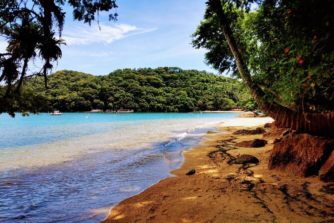 Highlights of Abraão Cove on a Half Day Hike in Ilha Grande - FAQ