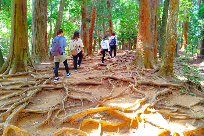 Kyoto: Kurama Temple and Mountain Legends Guided Hike - What the Reviews Say