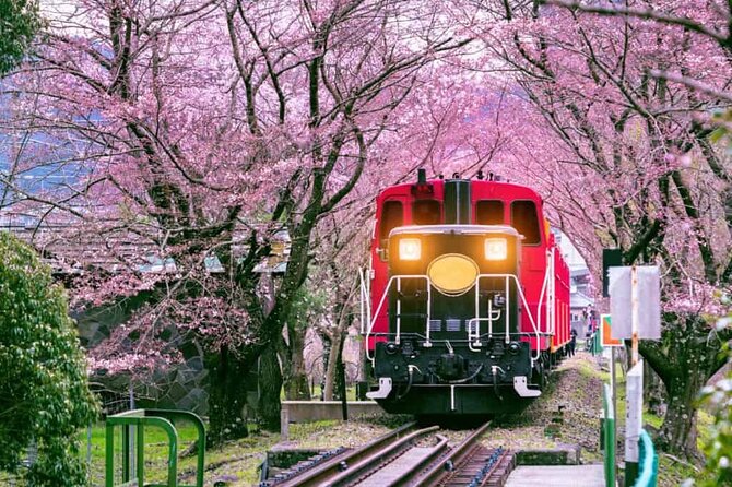 Sagano Romantic Train Ticket - Who Should Consider This Experience?
