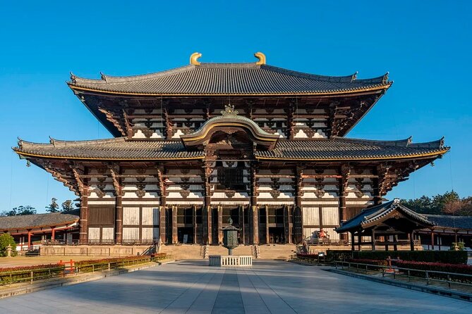 Nara Afternoon Tour from Kyoto - A Deep Dive into the Nara Afternoon Tour