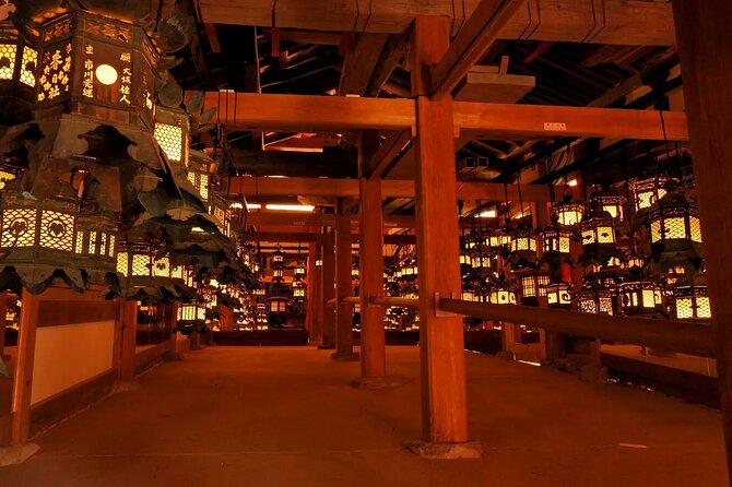 Nara Afternoon Tour from Kyoto - The Real Value for Travelers