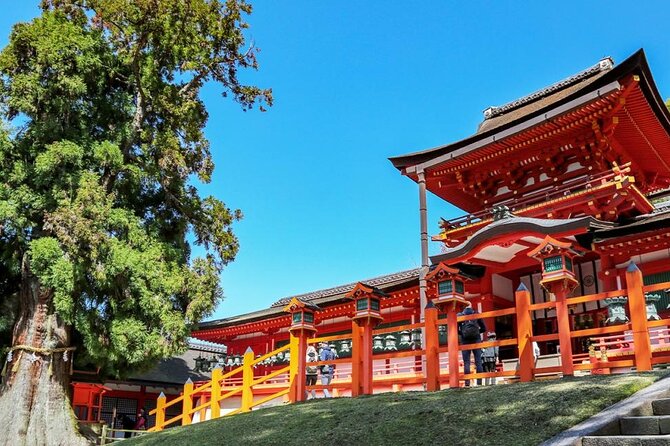 Nara Afternoon Tour from Kyoto - FAQs