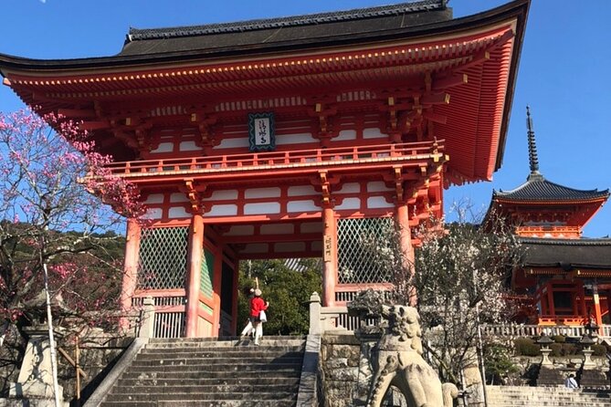 Hidden jem and highlights in kyoto half day private - Detailed Breakdown of the Itinerary