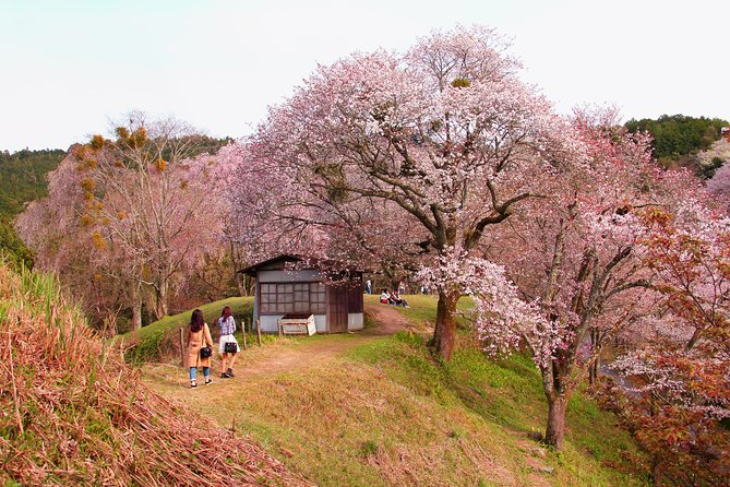 Nara Day Trip from Kyoto with a Local: Private & Personalized - Frequently Asked Questions
