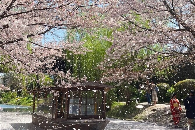 Kyoto City Cherry Blossom Private Sightseeing Tour - A Deep Dive into the Kyoto Cherry Blossom Private Tour  