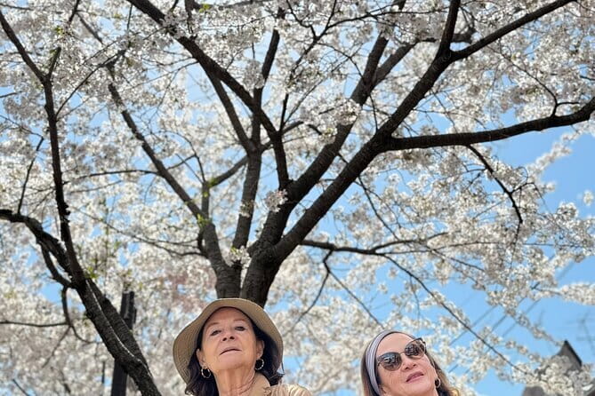 Kyoto Exploration with an Accredited Government Guide - What Travelers Can Expect from the Experience