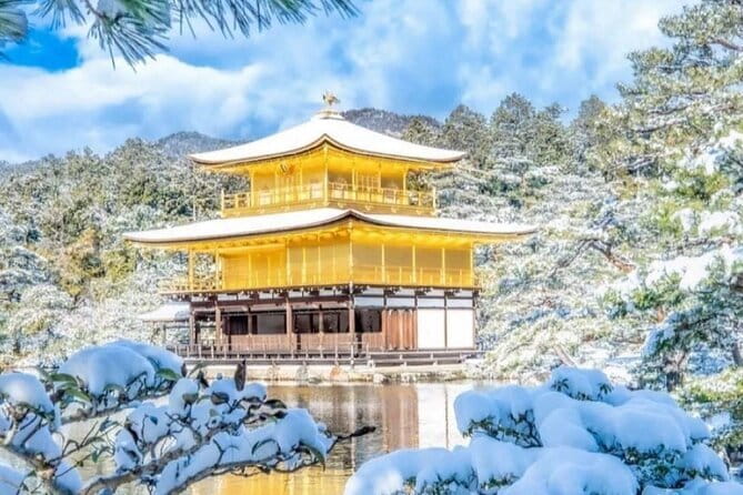 Kyoto Sagano Romantic Train With Cherry Blossoms Bus Tour - Health and Safety Guidelines