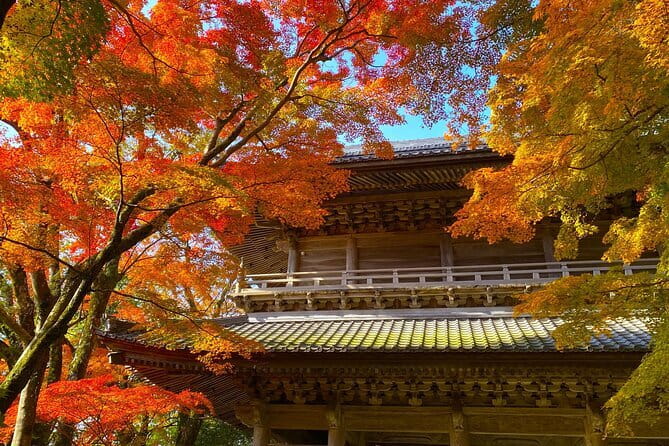 Shiga Autumn Experience Shopping and Ropeway Bus Tour from Kyoto - Exploring the Itinerary in Detail