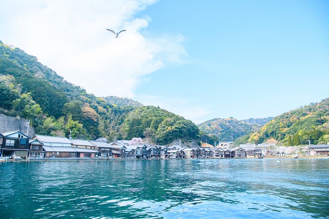 Ine and Amanohashidate Day Trip from Kyoto - Final Verdict: Who Should Consider This Tour?