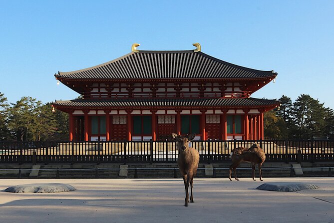 Explore the Timeless Heritage of Nara from Kyoto - Why Value Is More Than Just Cost
