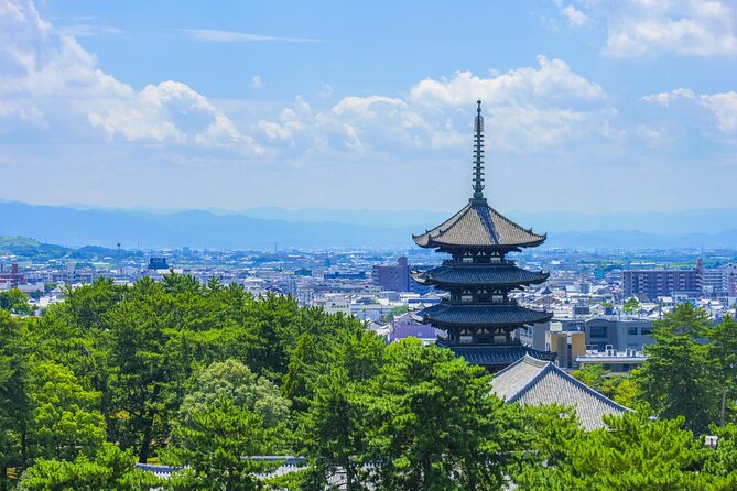Explore the Timeless Heritage of Nara from Kyoto - An Authentic Day in Nara: What You Can Expect