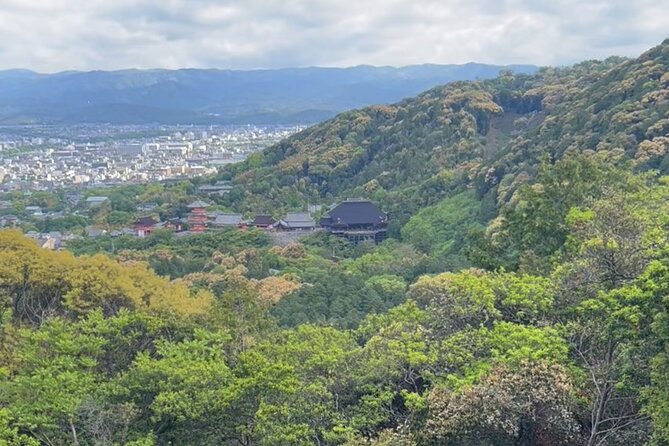 Early Morning Walking Tour: Historic Temples and Shrines - Who This Tour Is Perfect For