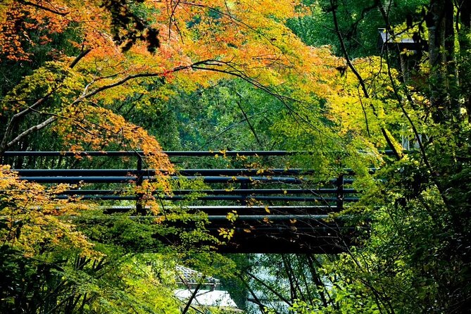 Guide tour of Japanese bathing culture at Kurama onsen - FAQs