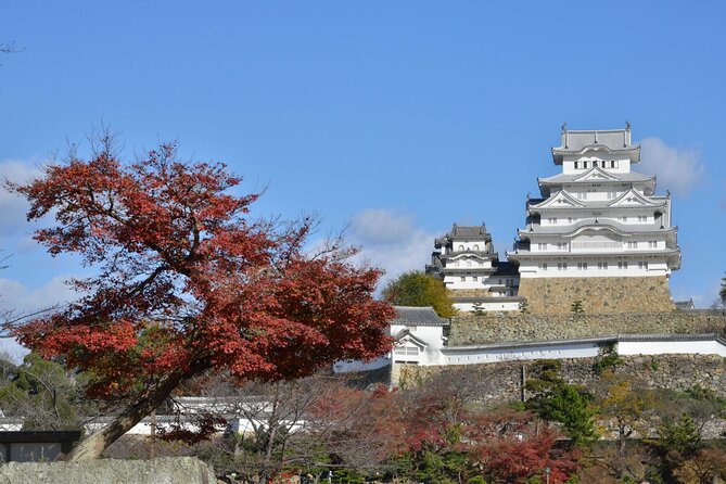 From Kyoto Premium Kobe Beef and Himeji Castle Bus Tour - FAQs