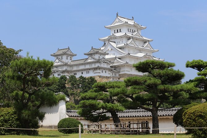 From Kyoto Premium Kobe Beef and Himeji Castle Bus Tour - Key Points