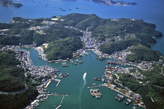From Kyoto Island Exploration with Local Seafood Lunch - A Detailed Look at the Ieshima Island Experience