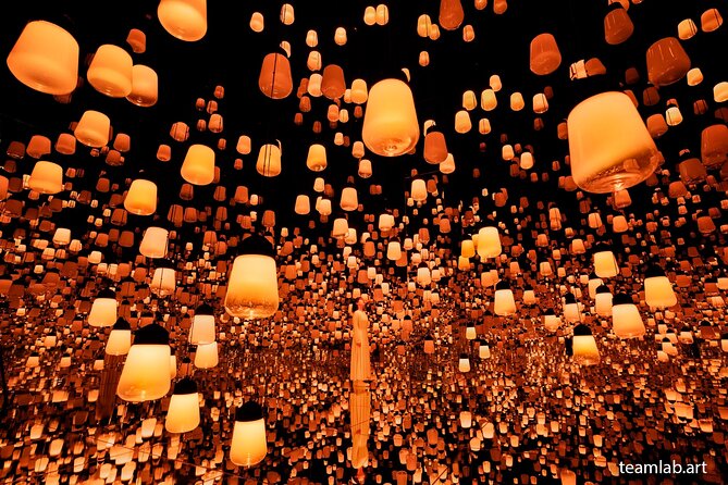 Kyoto TeamLab Biovortex & Kyoto Walking Tour - FAQ