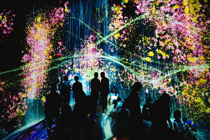Kyoto TeamLab Biovortex & Kyoto Walking Tour - Key Points
