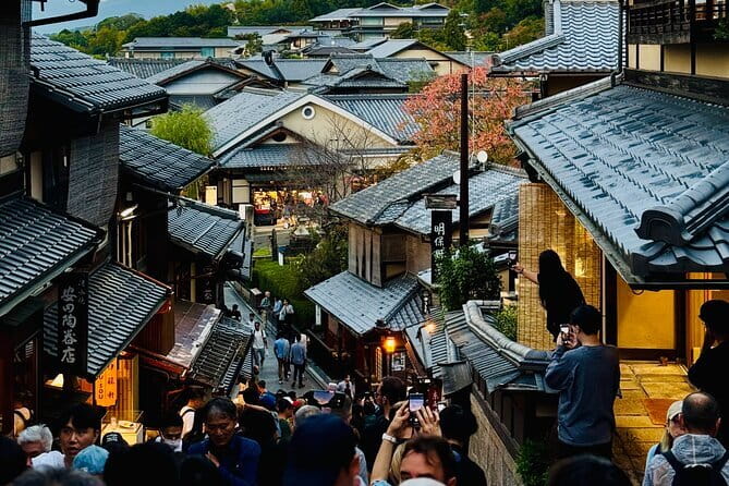 Private Kyoto Customizable Day Tour with English Speaking Driver - An In-Depth Look at the Kyoto Private Day Tour