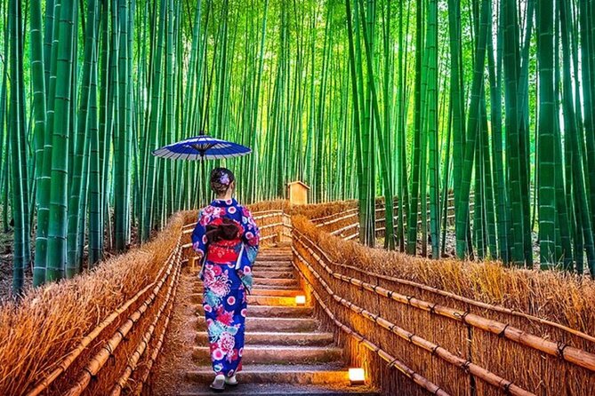 Kyoto Customizable Day Tour With Guide and Vehicle - FAQs