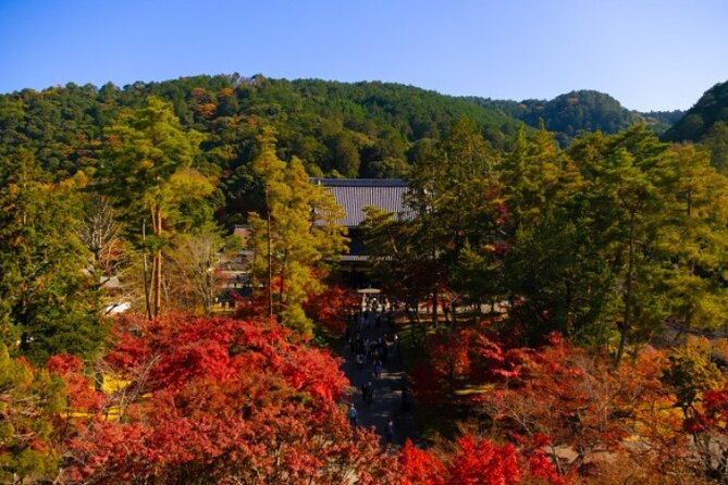 Peaceful Kyoto Walking Tour - An in-depth look at the Peaceful Kyoto Walking Tour