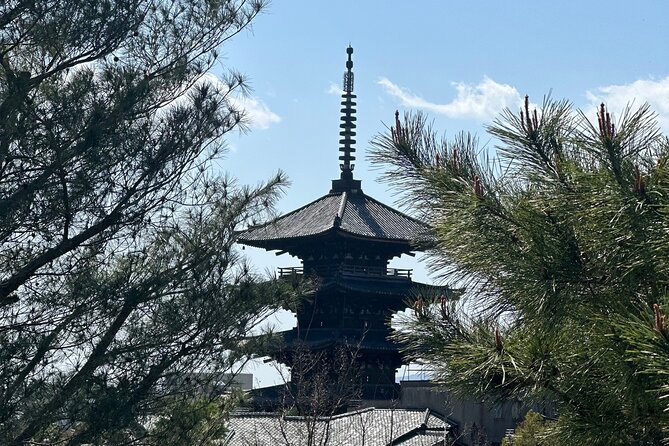 Kyoto Private Customizable Day Trip With English chauffeur - An Overview of the Experience