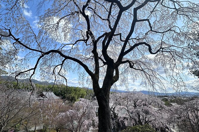 Kyoto Private Customizable Day Trip With English chauffeur - What’s Included and What’s Not