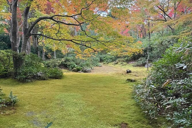 Kyoto Private & Customizable Tour with English-Speaking Driver - Detailed Breakdown of the Itinerary