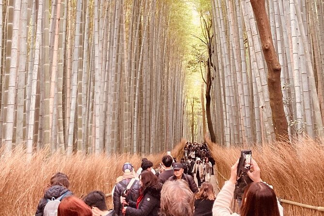 Kyoto Private & Customizable Tour with English-Speaking Driver - Why Choose a Private, Customizable Tour in Kyoto?