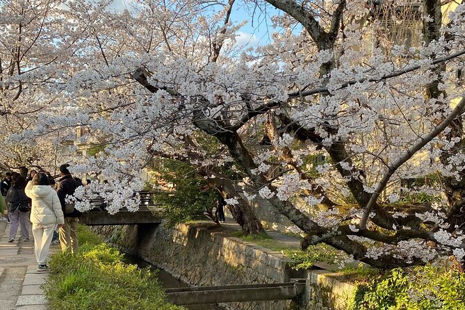 Kyoto Private & Customizable Tour with English-Speaking Driver - Who Is This Tour Best For?