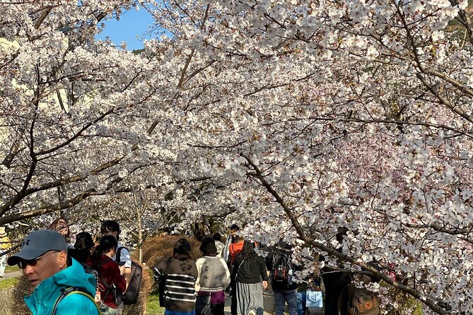 Kyoto Private & Customizable Tour with English-Speaking Driver - FAQs