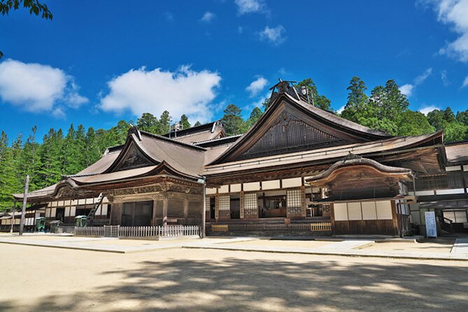 Private Customizable Day Tour in Kyoto Koyasan and Osaka - Authentic Experiences & Practical Tips