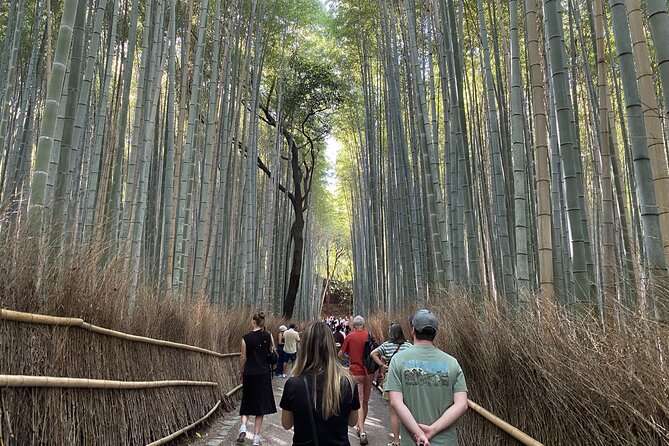 Discover the Hidden Paths of Arashiyama - Key Points