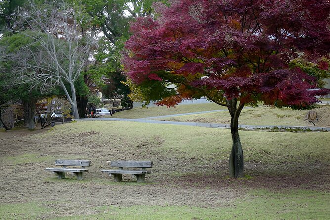 Kyoto, Osaka and Nara Customized Private Car tour - In-Depth Look at the Itinerary