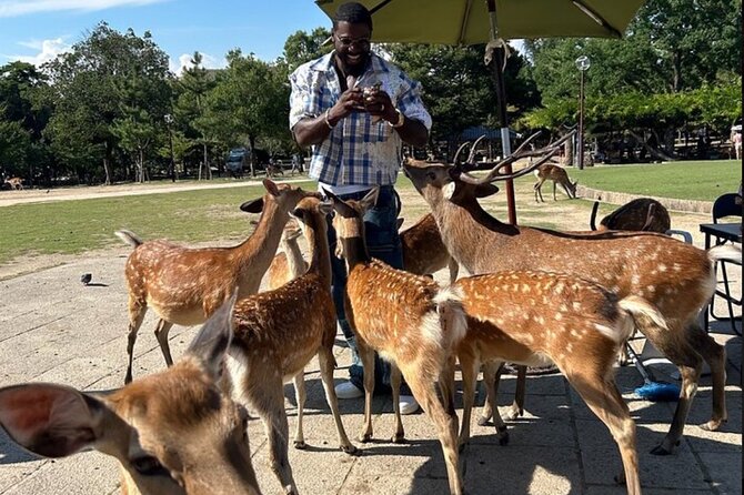 Kyoto and Nara Private Car Tour with a Local English Guide Driver - Good To Know
