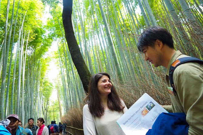 Kyoto Arashiyama Bamboo forest & Garden Half-Day Walking Tour - The Cultural Heart: Temples and Gardens