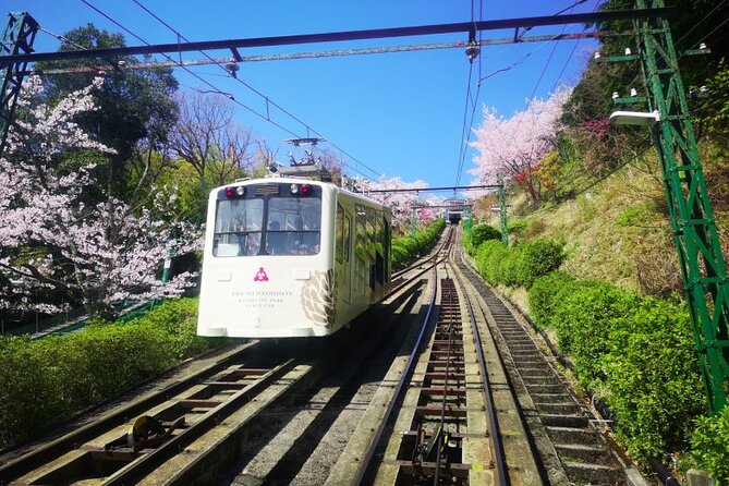Amanohashidate & Miyama 1-Day Bus Tour: From Osaka/Kyoto w/ Lunch - Who Would Love This Tour?