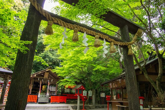 Private Day Tour - Kyoto Arashiyama & Bamboo Forest Perfect Tour! - Who Will Love This Tour?