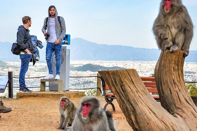 Private Day Tour - Kyoto Arashiyama & Bamboo Forest Perfect Tour! - Authentic Experiences and Hidden Gems