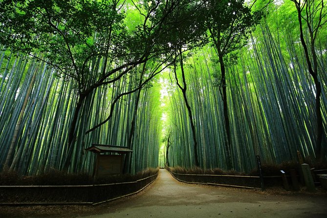 Kyoto Arashiyama & Sagano Bamboo Private Tour with Government-Licensed Guide - A Deep Dive into the Itinerary
