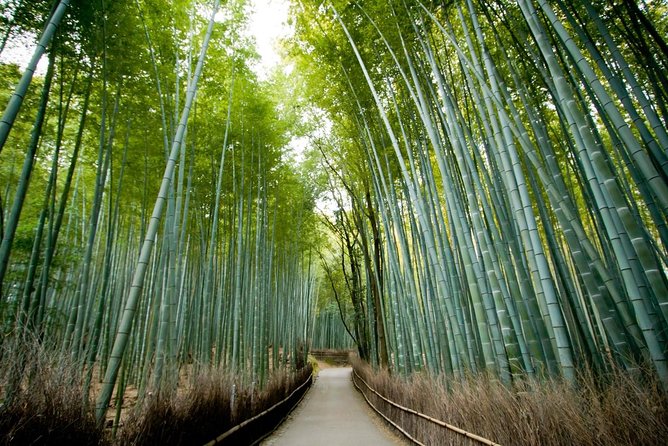 Kyoto Arashiyama & Sagano Bamboo Private Tour with Government-Licensed Guide - Authentic Experiences and Hidden Gems