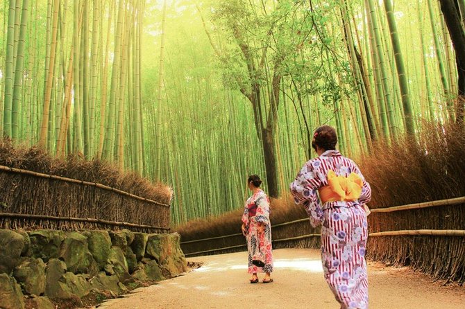 Kyoto Arashiyama & Sagano Bamboo Private Tour with Government-Licensed Guide - Exploring Kyoto’s Best with a Private Guide