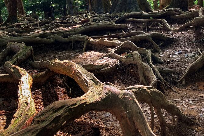 Hike and explore the Kurama and Kibune ancient Paths - Final Thoughts